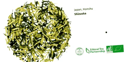 sencha