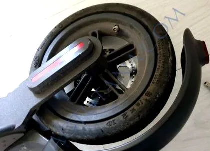 m365