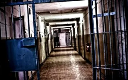 адвокатите дмитрий