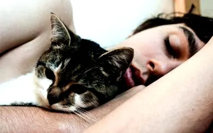 fontokat