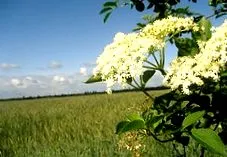 segíthet