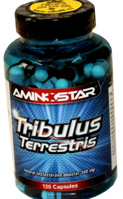 terrestris