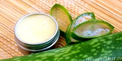 aloe