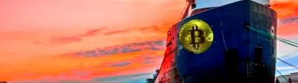 tokenizarea tovarăși