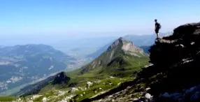 fără zahăr