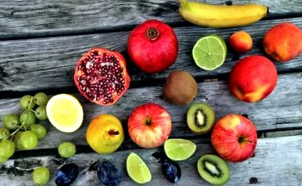 légzőrendszer