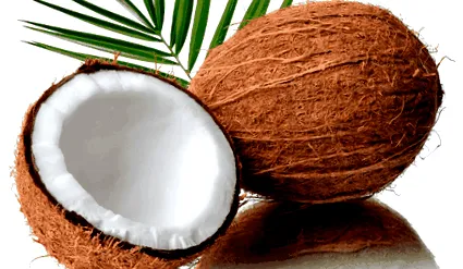 coco