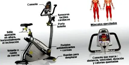 testépítésben