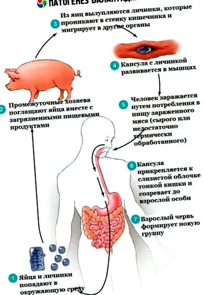 simptomele