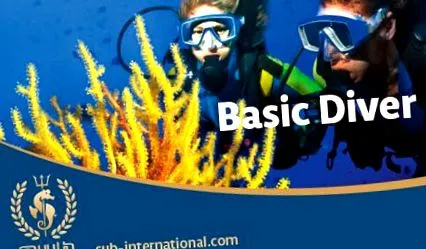 diving basic