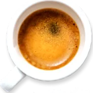 szakértő