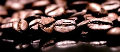 efedrin koffein