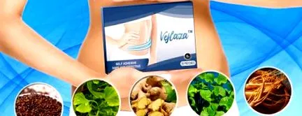 vejlaza