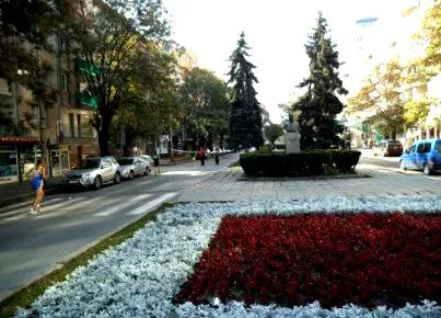целната област