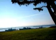 brest