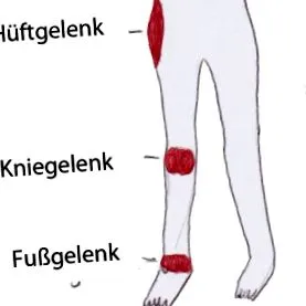 honlapja