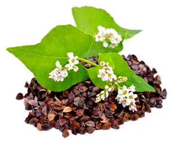 леќата мора