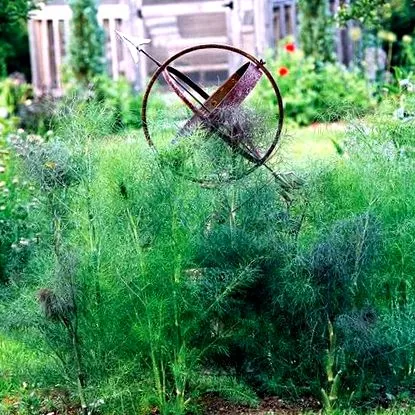 plante