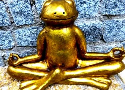 blog