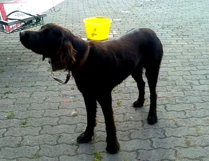 kronológia