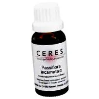 ceres echinacea