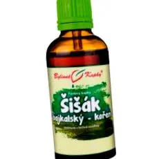 Baikal skullcap