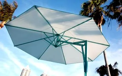 parasole
