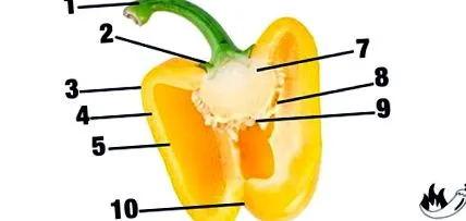 chili