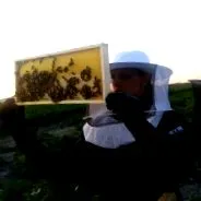 американски