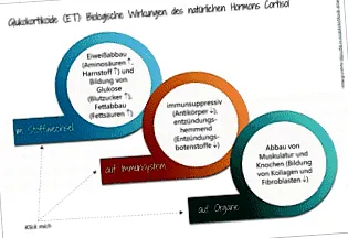 pillanat oszteoporózis