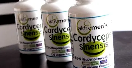 cordyceps