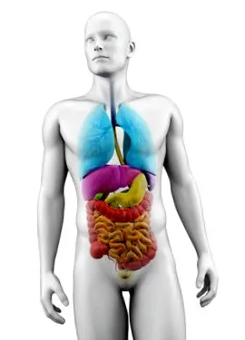metabolice