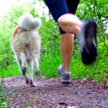кучето