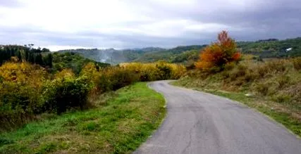 franziskus
