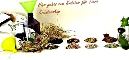 kövér
