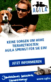 fertőzés macskában tüneteik