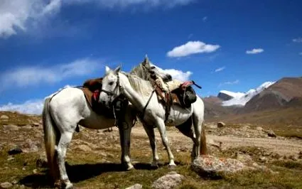 călătorie