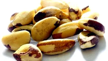 forrása