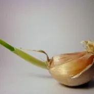 atunci când asemenea