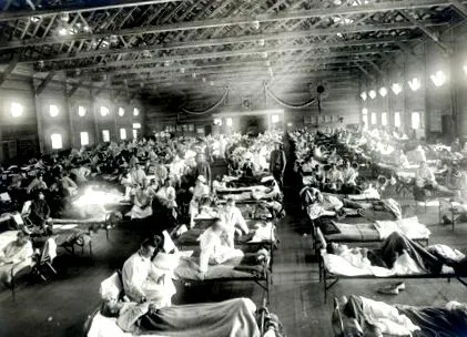 influenza