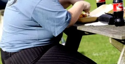 táplálkozási szakember diet