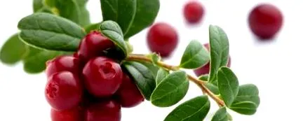 diuretice