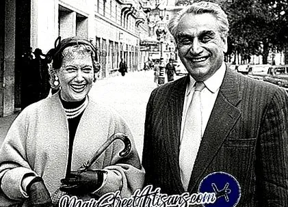 леден