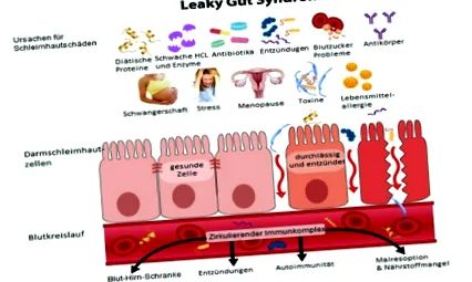 detoxifiere