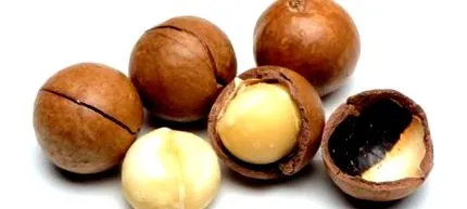 alimente
