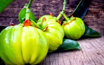 cambogia minune