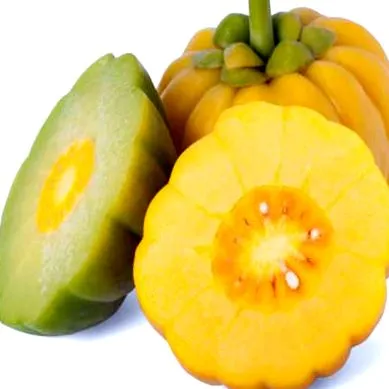 garcinia
