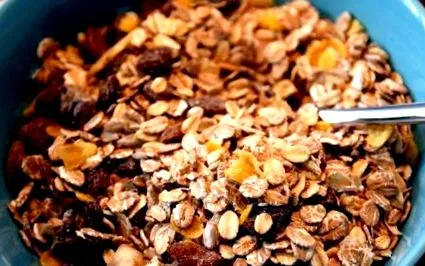 flapjack pentru