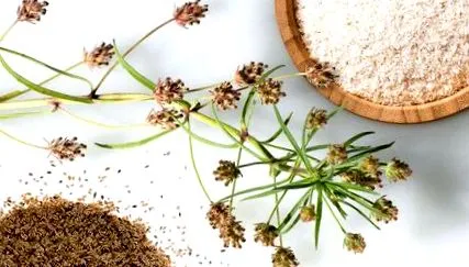 psyllium