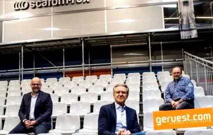 schele renovarea